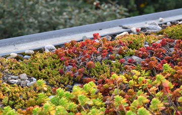 the cost of Bramling green roof installation