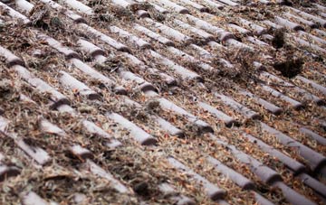 Bramling roof cleaning companies