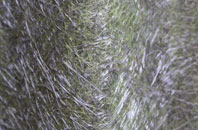 Bramling fibreglass roof work